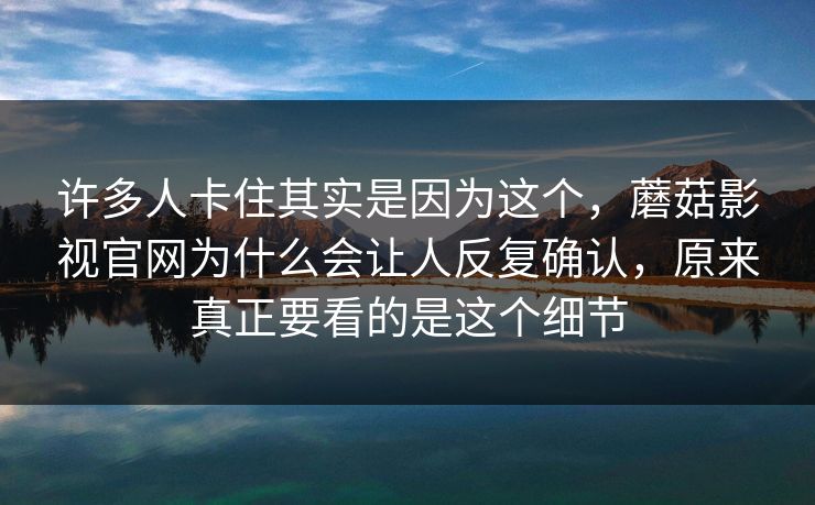 许多人卡住其实是因为这个，蘑菇影视官网为什么会让人反复确认，原来真正要看的是这个细节
