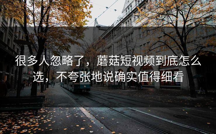 很多人忽略了，蘑菇短视频到底怎么选，不夸张地说确实值得细看