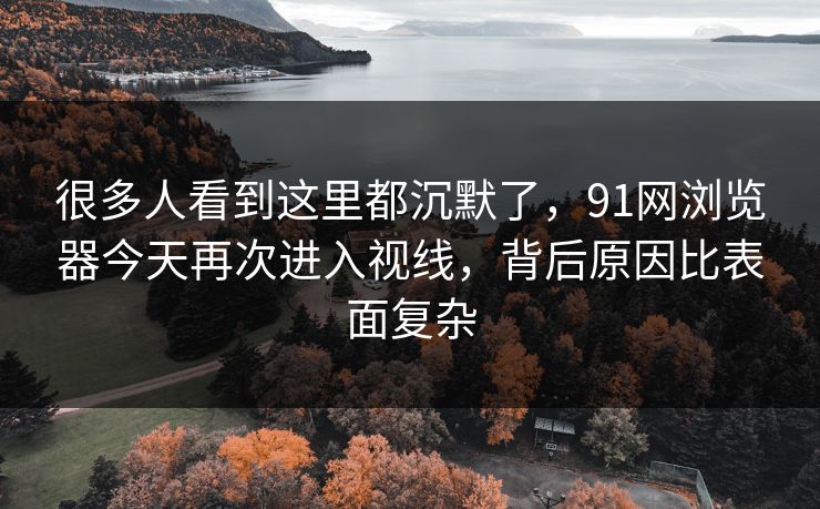 很多人看到这里都沉默了，91网浏览器今天再次进入视线，背后原因比表面复杂
