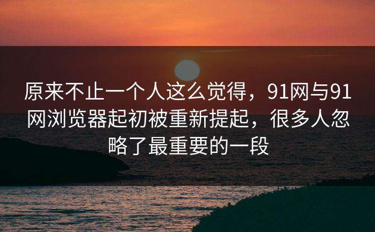 原来不止一个人这么觉得，91网与91网浏览器起初被重新提起，很多人忽略了最重要的一段