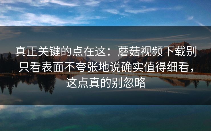 真正关键的点在这：蘑菇视频下载别只看表面不夸张地说确实值得细看，这点真的别忽略