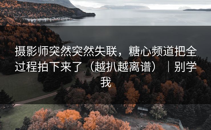 摄影师突然突然失联，糖心频道把全过程拍下来了（越扒越离谱）｜别学我
