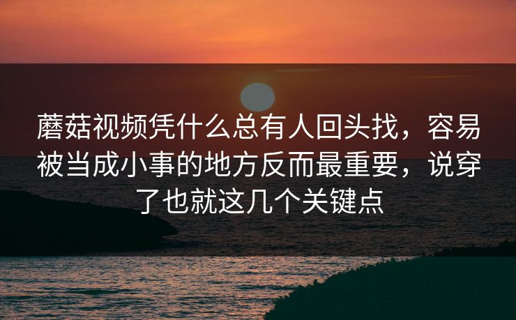 蘑菇视频凭什么总有人回头找，容易被当成小事的地方反而最重要，说穿了也就这几个关键点