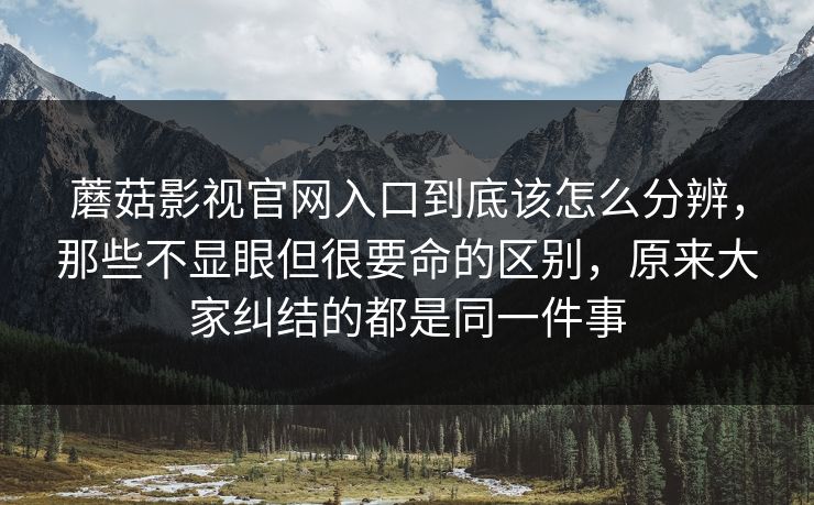 蘑菇影视官网入口到底该怎么分辨，那些不显眼但很要命的区别，原来大家纠结的都是同一件事