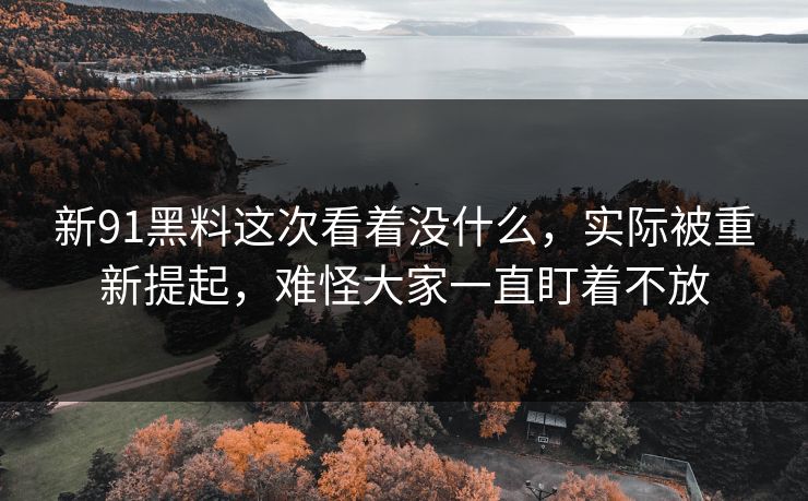 新91黑料这次看着没什么，实际被重新提起，难怪大家一直盯着不放