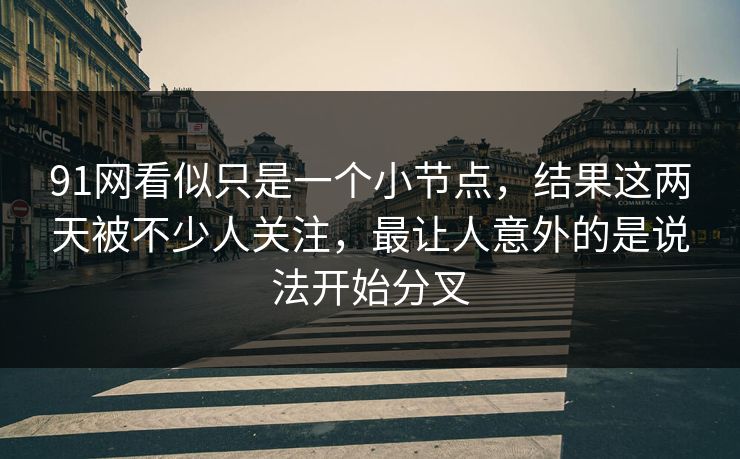 91网看似只是一个小节点，结果这两天被不少人关注，最让人意外的是说法开始分叉