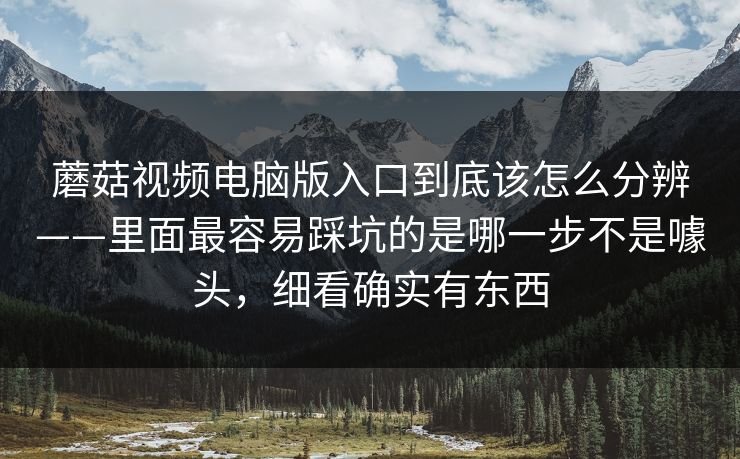 蘑菇视频电脑版入口到底该怎么分辨——里面最容易踩坑的是哪一步不是噱头，细看确实有东西