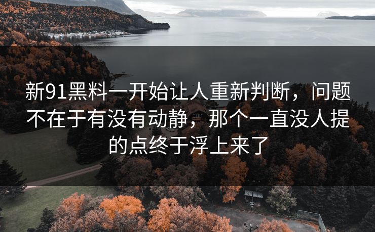 新91黑料一开始让人重新判断，问题不在于有没有动静，那个一直没人提的点终于浮上来了