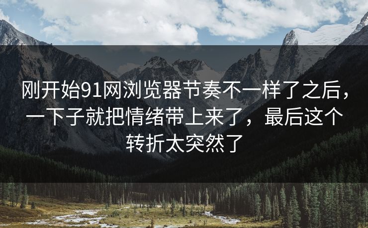 刚开始91网浏览器节奏不一样了之后，一下子就把情绪带上来了，最后这个转折太突然了